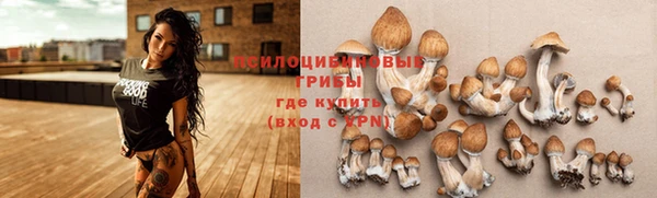 ECSTASY Володарск