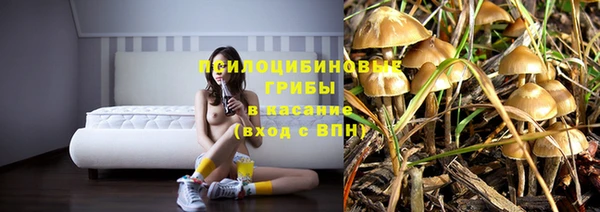 ECSTASY Володарск